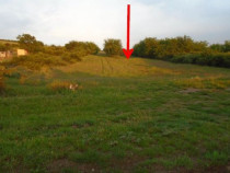 Cota de 3/8 din teren extravilan 5000 mp, Alba-Iulia, Jud...