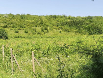 Parcele teren intravilan Valea Calugareasca 500mp