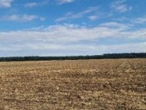 Teren extravilan Branesti, ID: R2649181