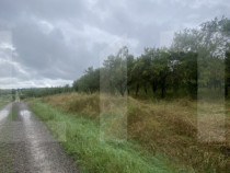 Teren cu potențial rezidențial &ndash; Simeria, Sf&acirc;ntu Gheorg