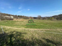 Teren Govora / 8131mp