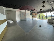 Spațiu comercial Vanzare cu Chiriasi | Taietura Turcului