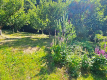 Proprietate la 5 km de oras - Vila P+1 + 5600 mp teren