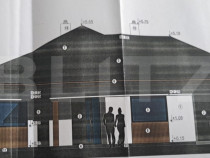 Casa pe 10 ari Viisoara