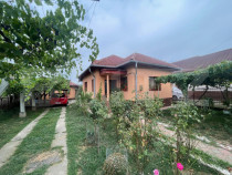 Casă solidă pe Bld. Ecaterina Teodoroiu &ndash; T&acirc;rgu Jiu