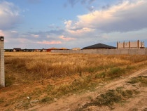 Tefen intravilan Selgros 680 mp cu deschidere 15m