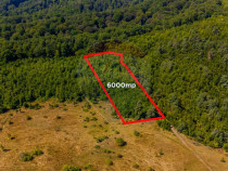 Teren 6,000mp Crizbav / Strada principala