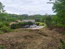 Teren intravilan Mosoaia - Hintesti