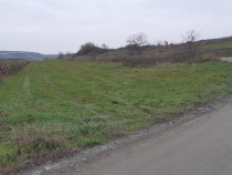 8000mp teren intravilan in cluj