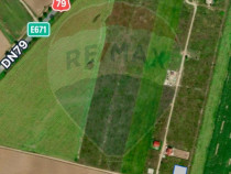 Teren 530mp intravilan de vanzare in Gepiu