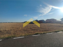 Teren intravilan de Vladimirescu, cartierul Florilor