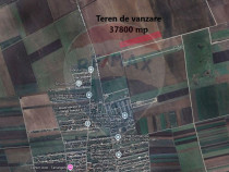 Teren Harman 37800mp la 50m de UAT Tarlungeni -cartier Izvor