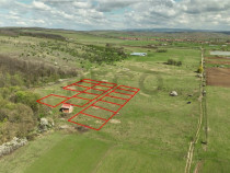 RECO , teren intravilan, Ineu,Bihor