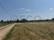 RECO teren &icirc;n Paleu