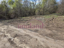 Vanzare - teren 1000 mp - Iancu Nicolae-Pipera