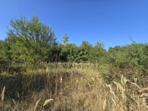 Teren Ciolpani 6133mp