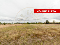 Teren intravilan 3000 mp, Oarja, Arges – amplasament excel