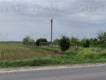 Teren intravilan - - centura - Cazasu - Braila