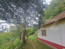 Casă de v&acirc;nzare &ndash; Colonia 1 Mai 75.000 EURO