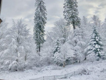 OFERTA in Poiana Brasov, 3 camere de vazare