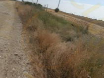 0% COMISION !!! TEREN INTRAVILAN - BRADU