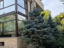 DE INCHIRIAT Spațiu de birouri in zona Baneasa