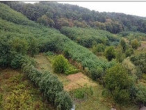 Teren Duta-Epureni, ID: R2757048