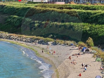 Teren de vis pe malul mării, Goflful Francezului, Costin...