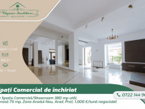 Spațiu Comercial/Showroom 380 mp utili, Terasă 75 mp, Zona