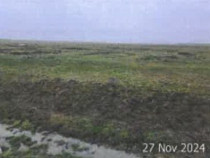 Teren pasune Luciu, cota parte 10000/407492 ; ID: R2766691