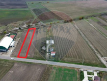 Teren 1,800mp Mircestii Vechi / DJ 204E