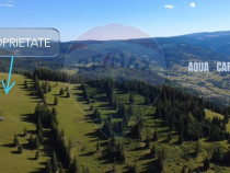 Teren 47,732mp Panaci / Strada MIhailet