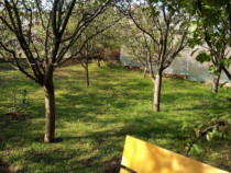 Teren intravilan 500 mp Rediu la 150 ml de soseaua principal