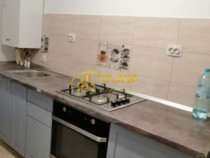 Vanzare apartament 1 camera in Lunca Cetatuii