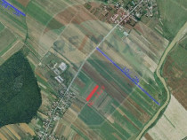 Teren 4,955mp in Nuci Ilfov, la numai 100 m de ultima cas...