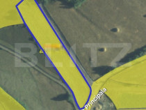 Teren parcelabil, front la strada, 2965mp, utilitati in zona