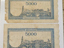 Bancnote de Colectie Vintage