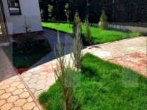 Casă elegantă într‑un duplex mobilat, curte 208 m² ?