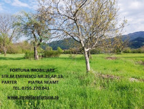 Teren intravilan 1480 mp, Alexandru cel Bun