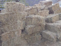 Baloti fân de gradina