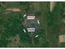 Oportunitate turistică &icirc;n comuna Roșia 10.059 mp teren