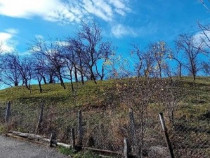 Teren cota parte 1/2, Sat Vistieru, ID: R2809860