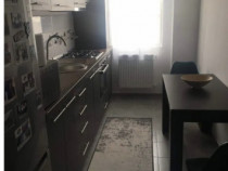 Dimitrie leonida berceni metrou biruintei 91