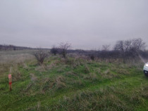 Teren extravilan Carcea - 2500 mp