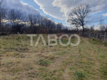 Comision 0 % Teren intravilan 2 cai de acces 3100 mp Savastr