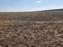 TEREN EXTRAVILAN 7.802 mp &ndash;DOMNESTI, ILFOV