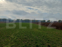 Teren extravilan, 3800 mp, Turda