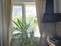 Proprietar apartament 3 camere Camil Ressu Park lake
