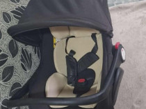 Vand Scoica Bebelusi