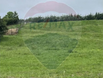 Pasune 21 ha pretabila pentru panouri fotovoltaice,impadurit